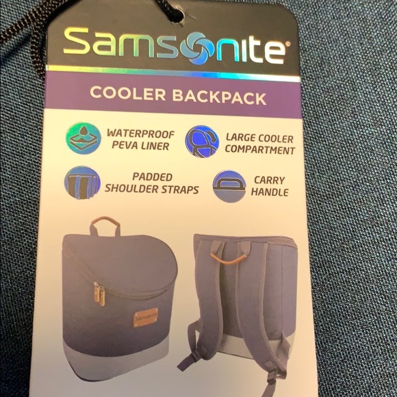 samsonite insulated cooler backpack